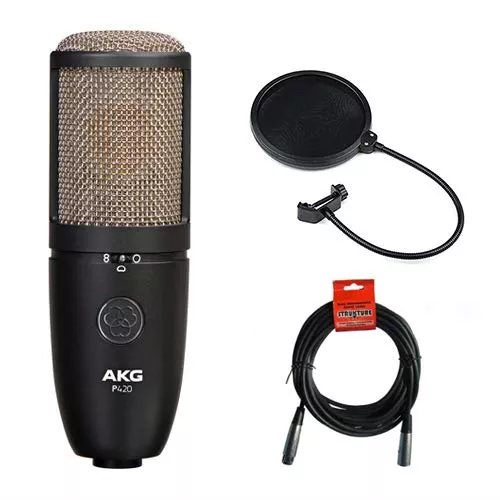 AKG Project Studio P420 Multi-Pattern Large Diaphragm Condenser Microphone with Pop Filter & 20' XLR Cable