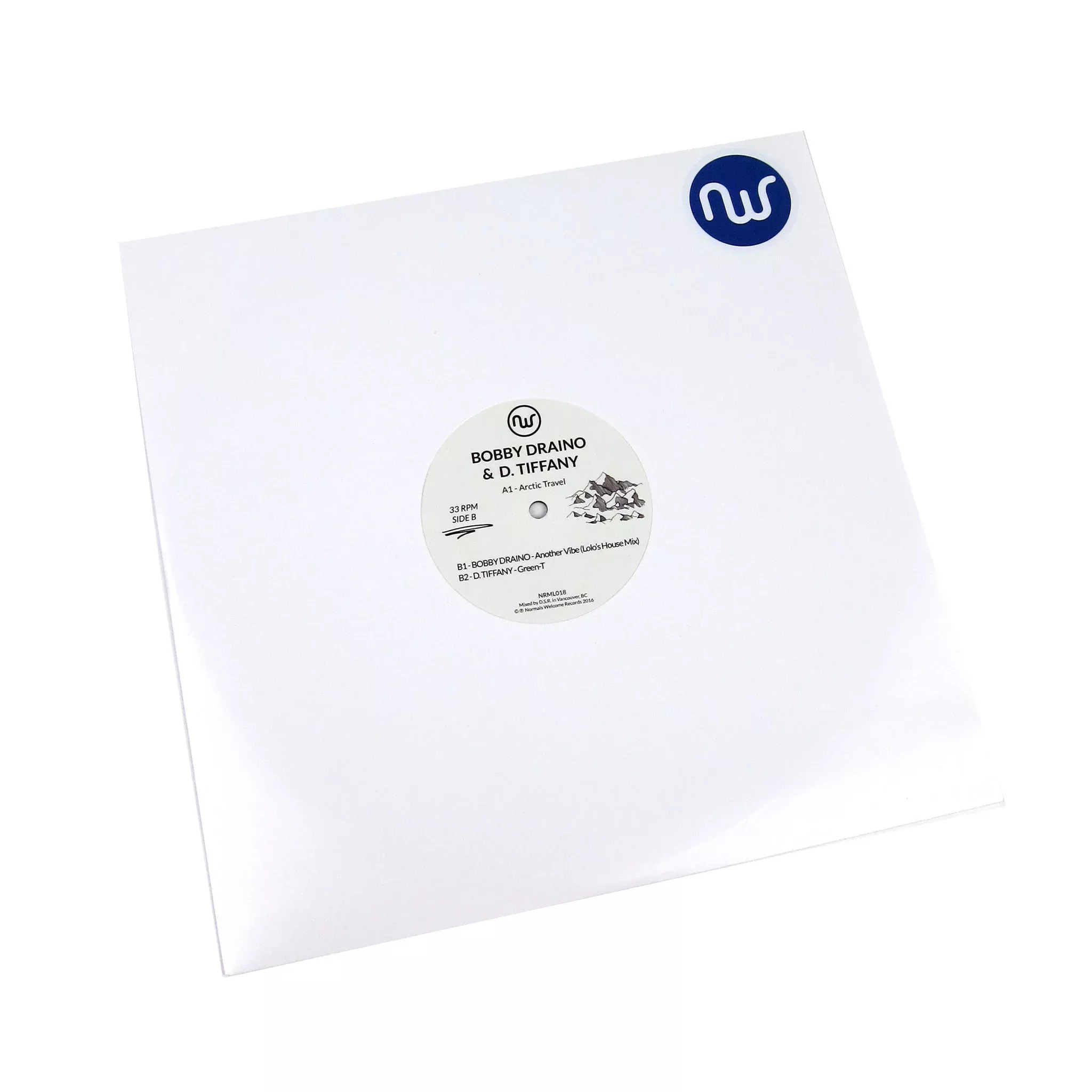 Arctic Travel Vinyl 12"
