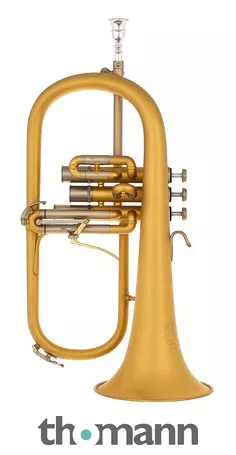 B&S 3148/2-E Elaboration Flugel