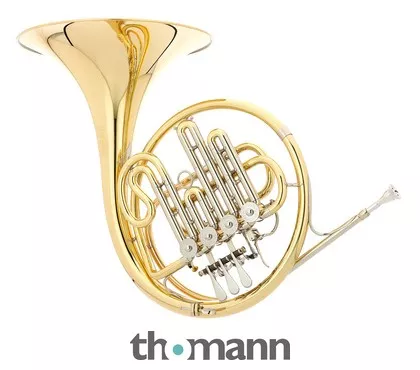 Hans Hoyer 704-L