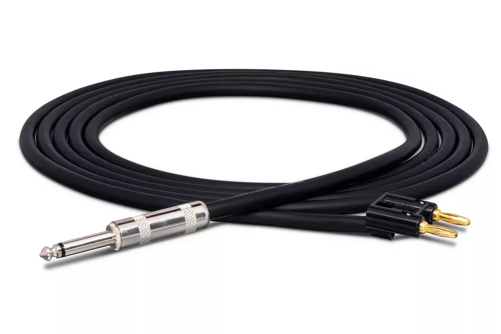 HOSA - Speaker Cable, Hosa 1/4 in TS to Same, 100 ft