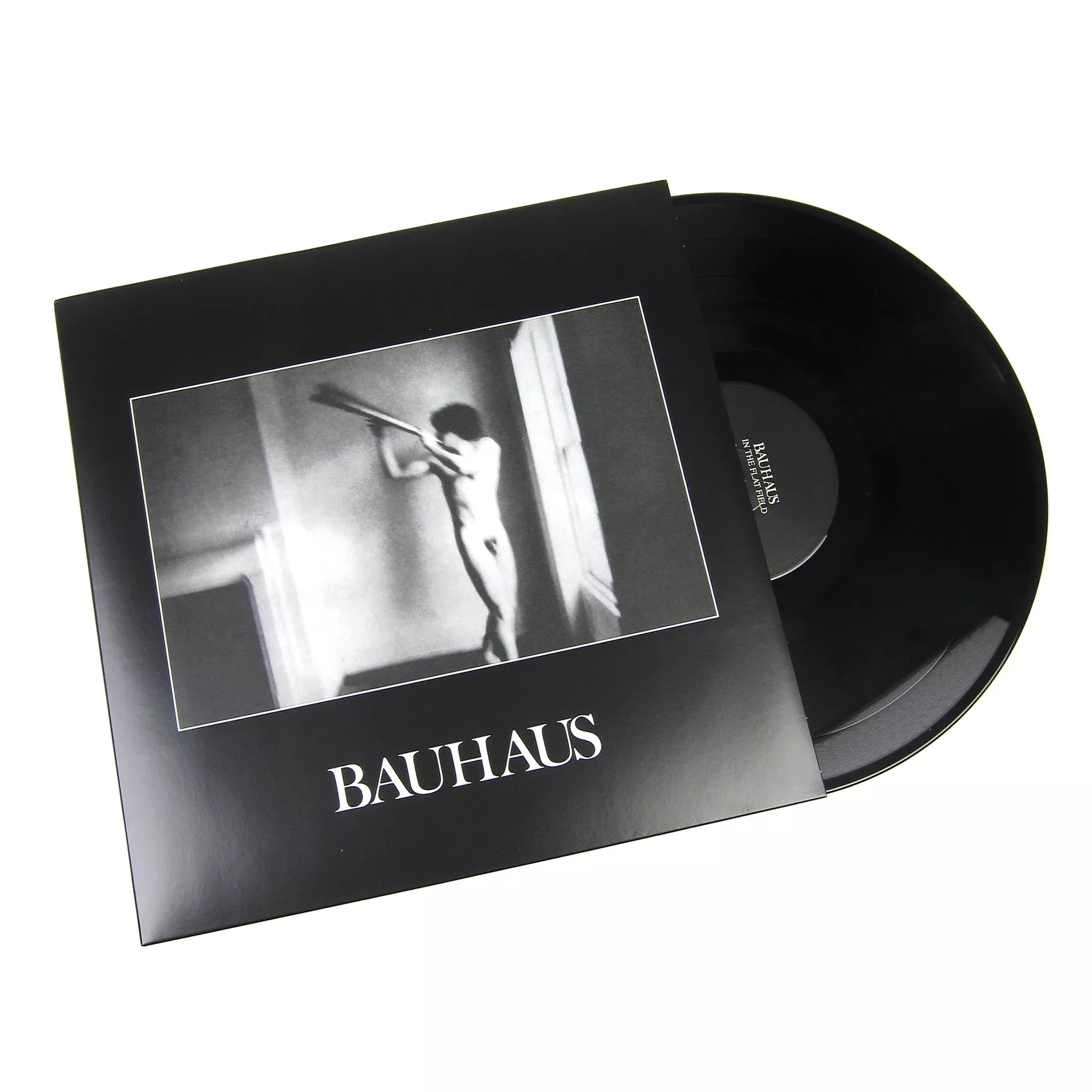 In The Flat Field Vinyl LP