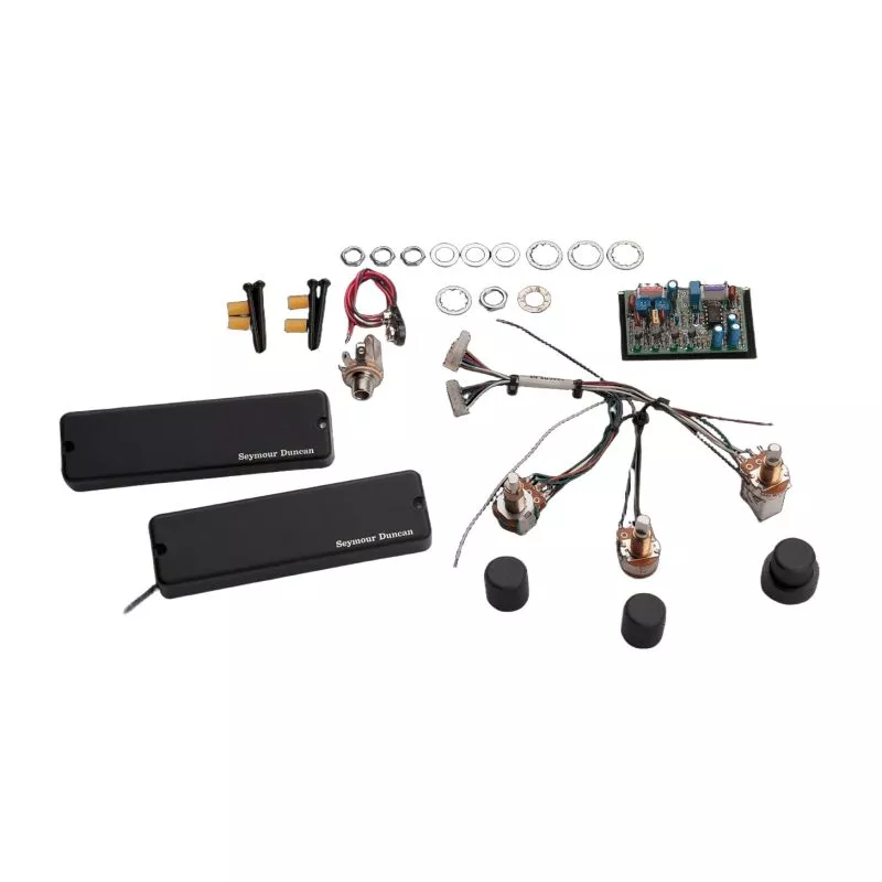 Seymour Duncan ASB-2ASB Steve Bailey 6-String Fretless System 2-Band T