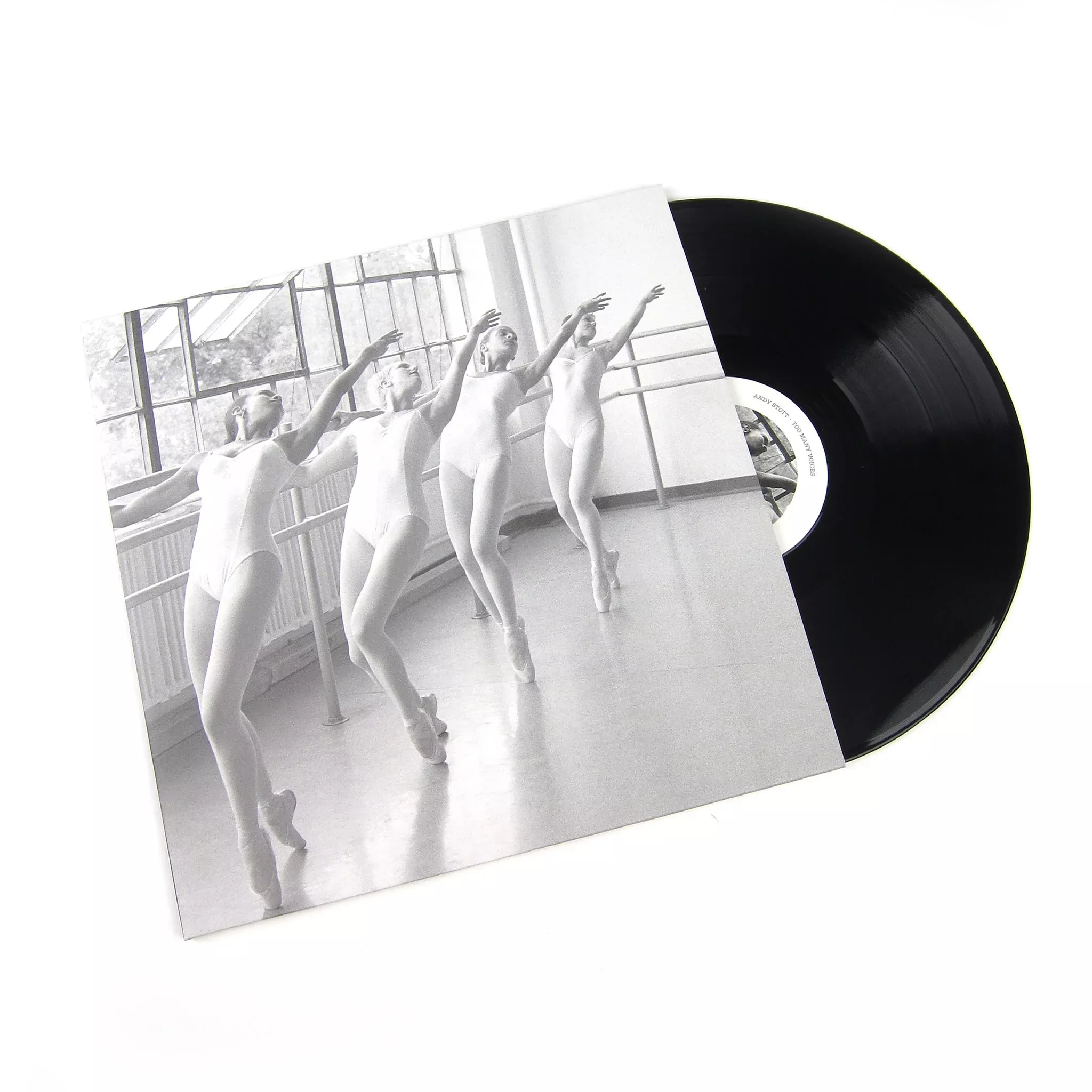 Too Many Voices Vinyl 2LP